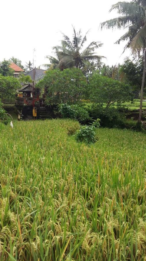 Pondok Tulasi Semaya House Payangan Exteriér fotografie
