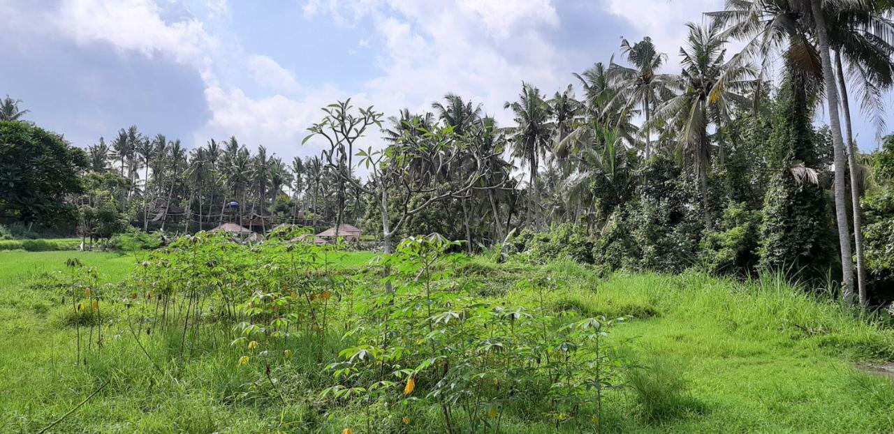 Pondok Tulasi Semaya House Payangan Exteriér fotografie